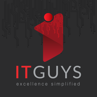 IT GUY