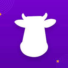 Purple Cow Agency