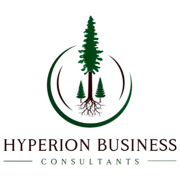 Hyperion Business Consultants