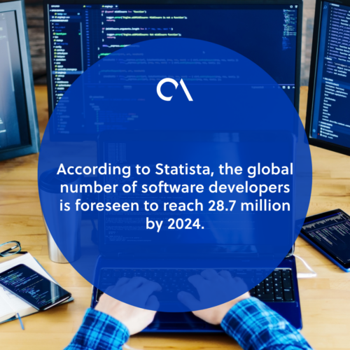 Software developer statistics overview
