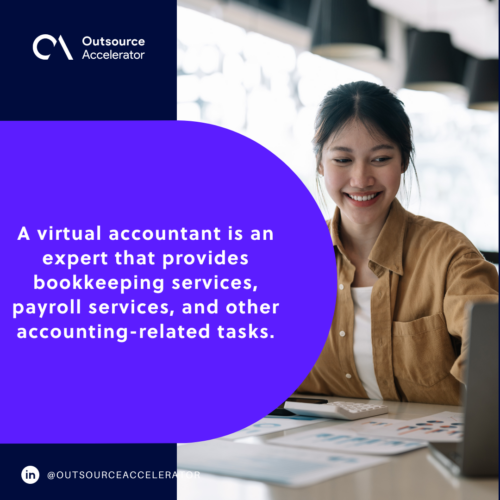 What does a virtual accountant do