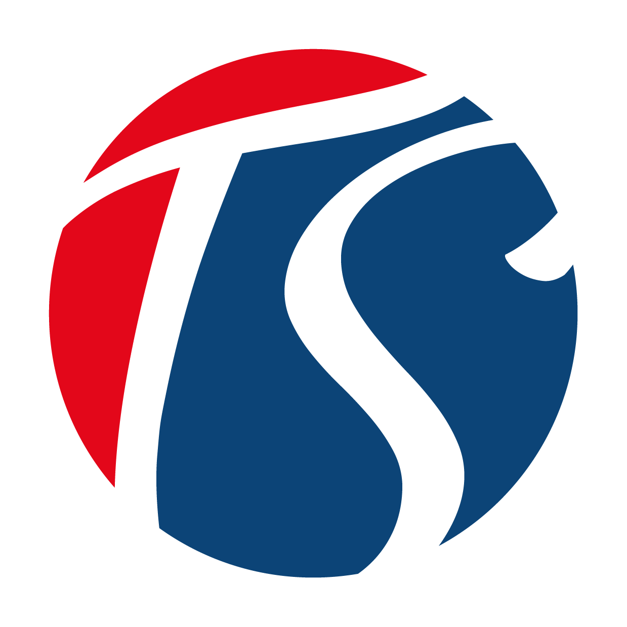 Talent Solutions International