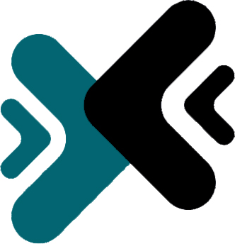 Xact Auditing of Accounts