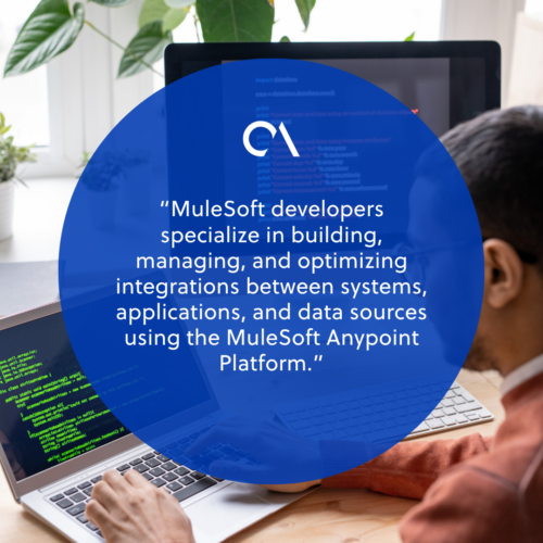 What Mulesoft developers do